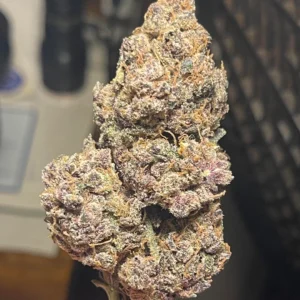 Bubblegum Runtz Strain