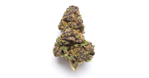 Pineapple Runtz Strain