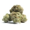 Frozen Runtz Strain