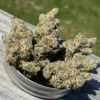 Cadillac Runtz Strain